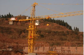 塔吊市场供需动态 销售、求购与贸易信息综合分析